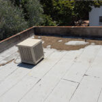 DCIM100MEDIADJI_0795JPG