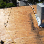 DCIM100MEDIADJI_0806JPG