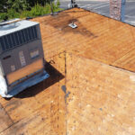 DCIM100MEDIADJI_0807JPG