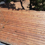 DCIM100MEDIADJI_0808JPG