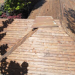 DCIM100MEDIADJI_0818JPG