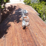 DCIM100MEDIADJI_0821JPG