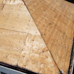 DCIM100MEDIADJI_0823JPG