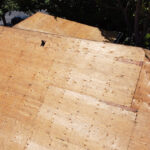 DCIM100MEDIADJI_0824JPG