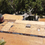 DCIM100MEDIADJI_0828JPG