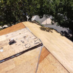 DCIM100MEDIADJI_0829JPG